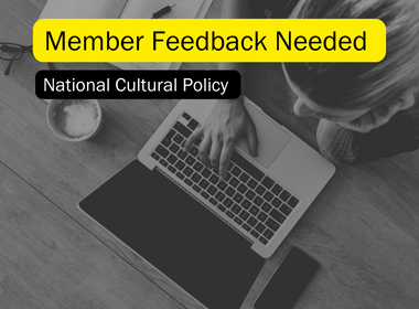 National Cultural Policy: Members Feedback