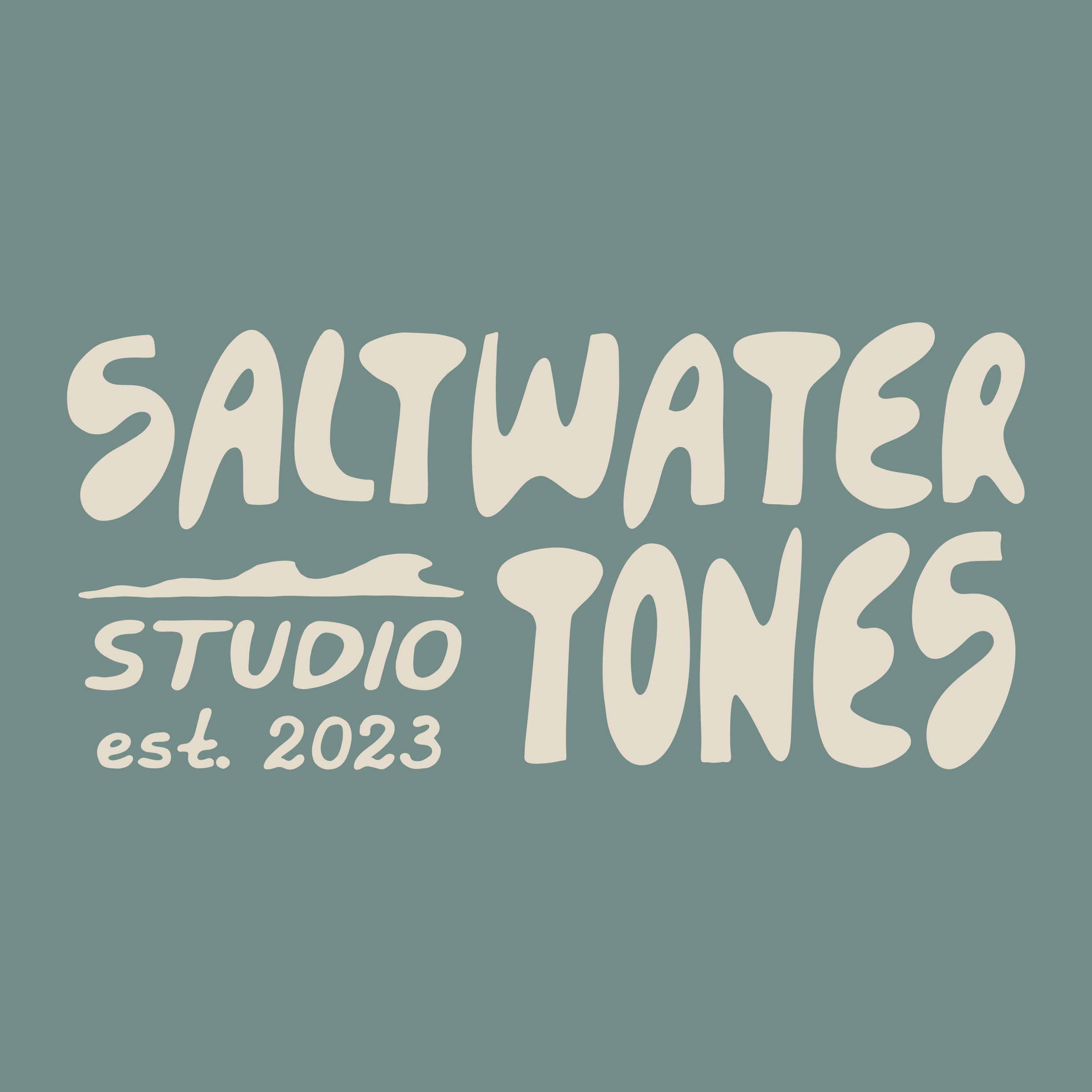 Saltwater tones logo