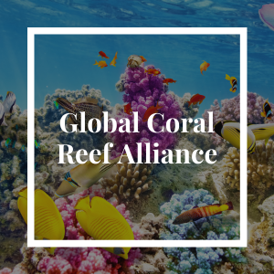 Global Coral Reef Alliance