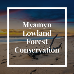 Myamyn Lowland Forest Conservation