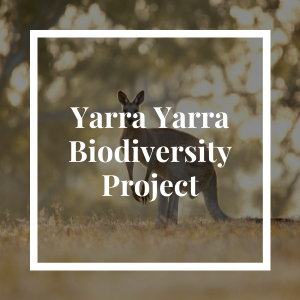 Yarra Yarra Biodiversity Project